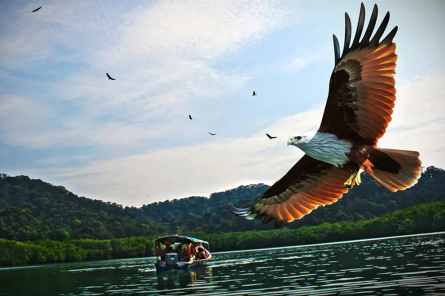 Langkawi Half Day Island Tour Price USD 10 per person, 2 to go