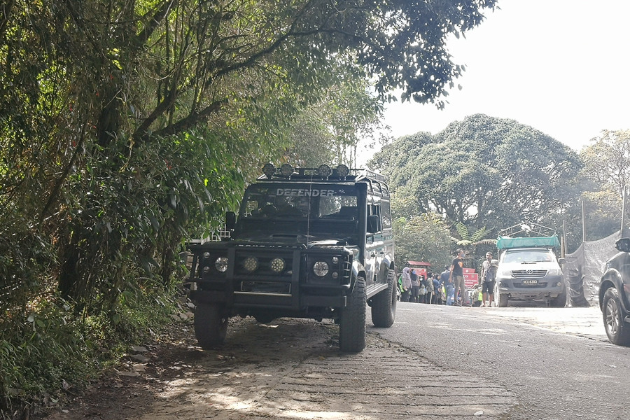 [Promotion 2021/2022] Hire A Jeep to Mossy Forest Cameron Highlands | Private Tour