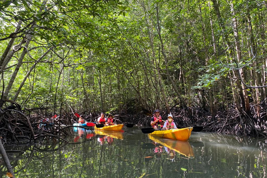 Mangrove Kayak Langkawi | Kayak + Fish Feeding Show