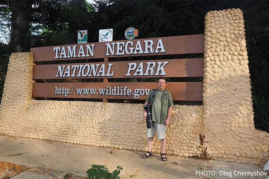 Exploring the Wonders of Taman Negara National Park Malaysia